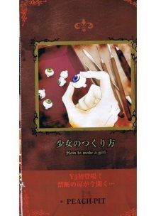 Постер к комиксу How to make a girl / Способ изготовления девочки / Rozen Maiden - Shoujo no Tsukurikata