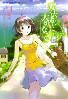 Постер к комиксу Someday's Dreamers ~Summer Skies~ / Нечто важное для мага / Mahou Tsukai ni Taisetsu na Koto