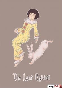 Постер к комиксу The Lost Rabbit / Потерянный кролик