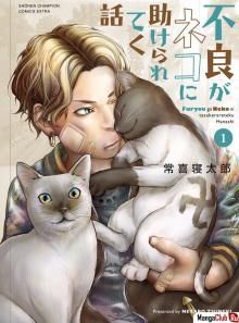 Постер к комиксу История о хулигане, которого спасают коты